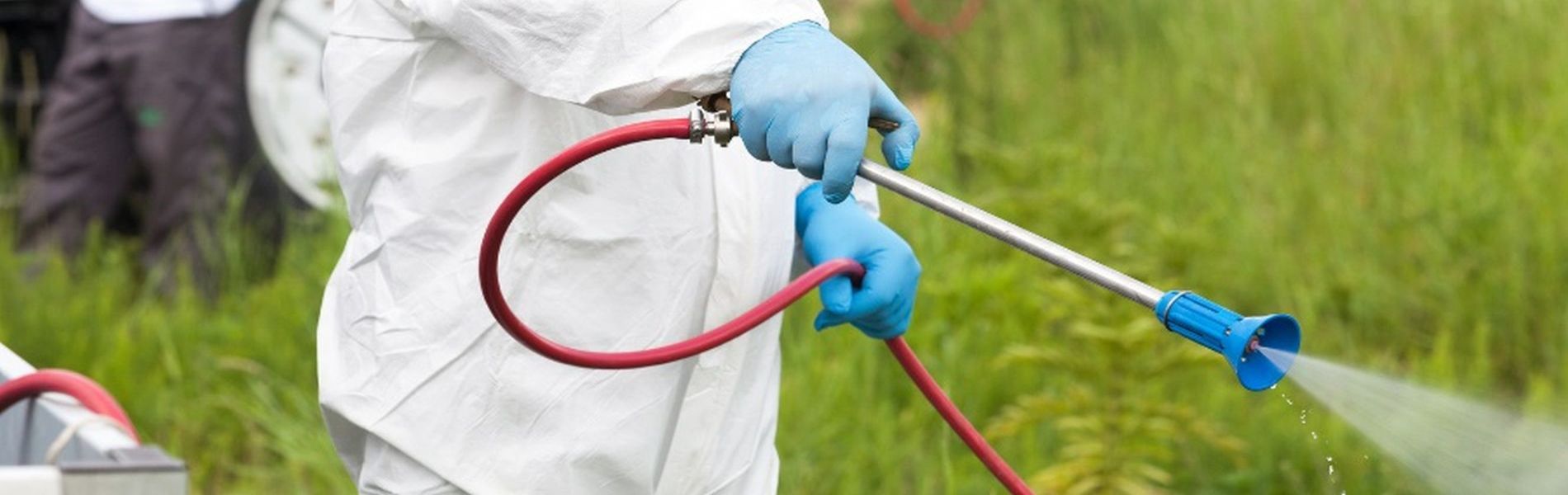 Find out why we are the 1 Rated Long Island Pest Control Service